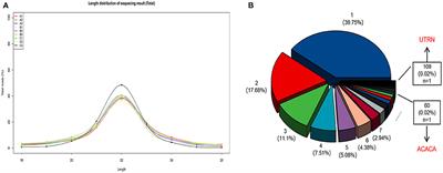 MicroRNA and circular RNA profiling in the deposited fat tissue of Sunite sheep